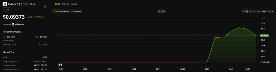 CASHCAT Price Performance