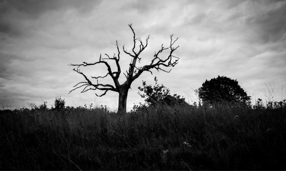 'Crypto Is Dead' Talk Is Rising; Could Peak Fear Be a Contrarian Signal?