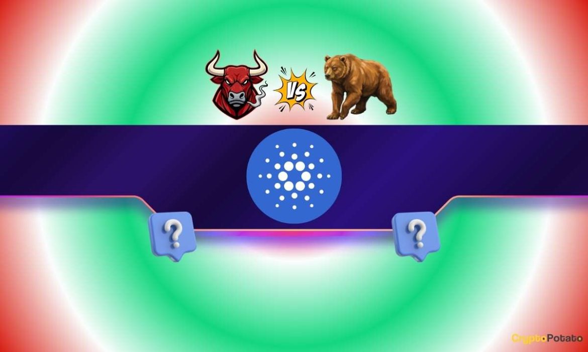 Healthy Correction or the Return of the Bears?